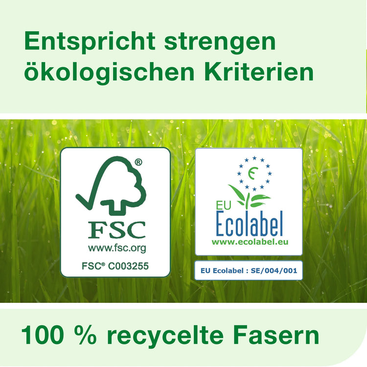 TORK Papierhandtücher 290143 H3 Advanced Zick-Zack-Falzung 2-lagig 3.750 Tücher