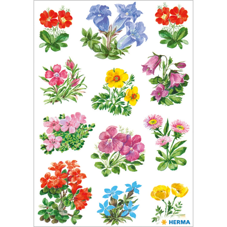 36 HERMA Aufkleber 3582 Gebirgsblumen