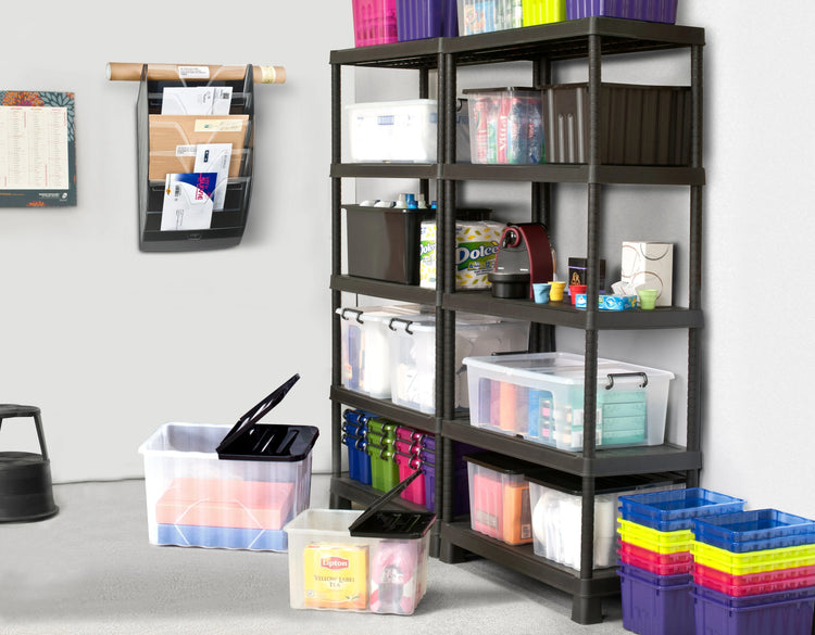 cep Aufbewahrungsbox 24,0 l transparent 50,0 x 39,5 x 20,2 cm