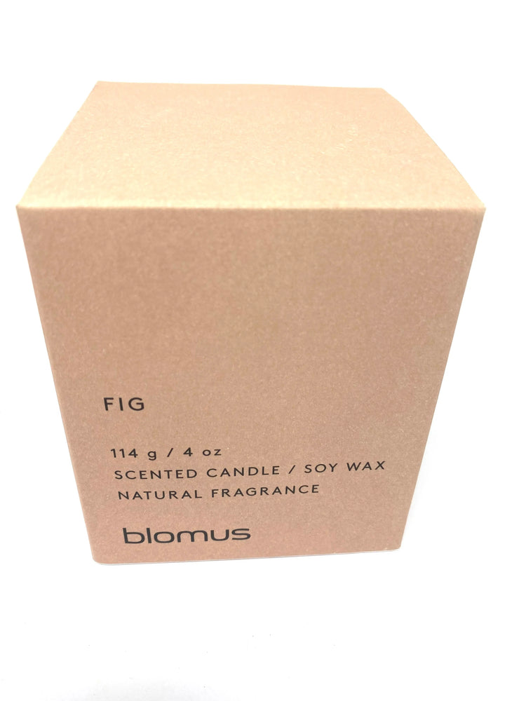 Blomus Duftkerze FIG rosa Feigenbäume Brenndauer ca. 24 Std. Beton