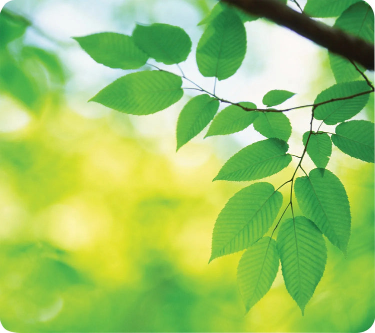 Fellowes Mousepad Earth Series Blätter