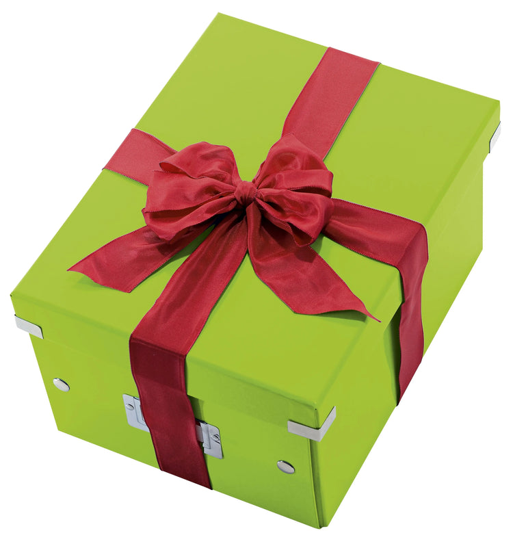 LEITZ Click & Store Aufbewahrungsbox 16,7 l grün 28,1 x 36,9 x 20,0 cm Format DIN A4 quer