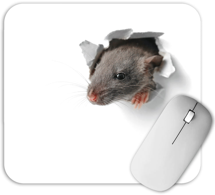 Mousepad - Block "Mausi" Maße (BxH): 240 x 220 mm, 30 Blatt