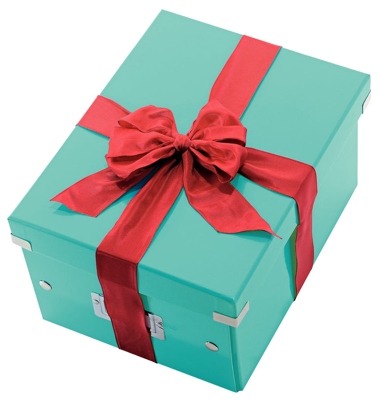 LEITZ Click & Store Aufbewahrungsbox 16,7 l eisblau 28,1 x 36,9 x 20,0 cm Format: DIN A4 quer