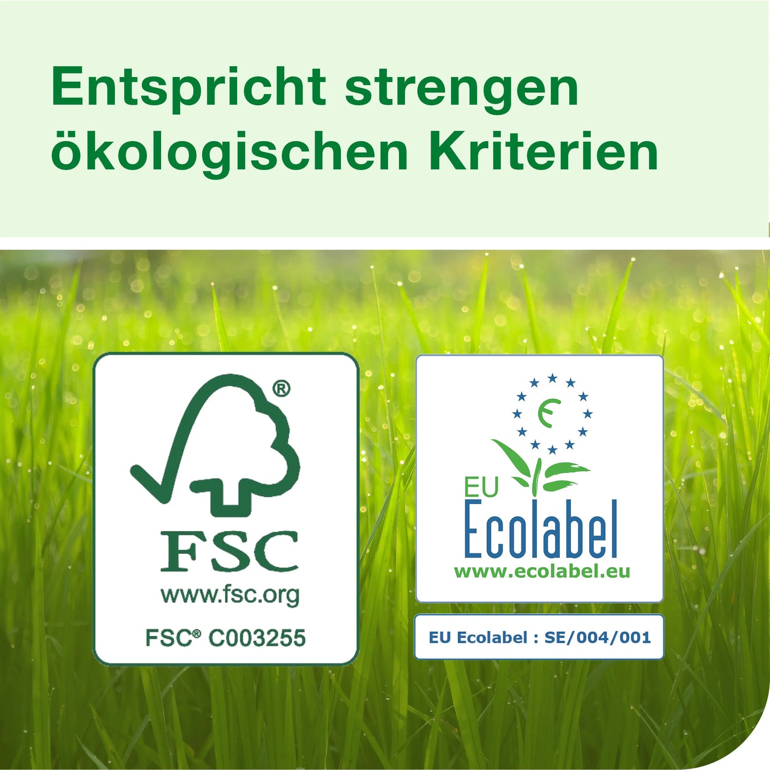 TORK Papierhandtücher 129089 Xpress® H2 Advanced schnellauflösend Interfold-Falzung 2-lagig 4.200 Tücher