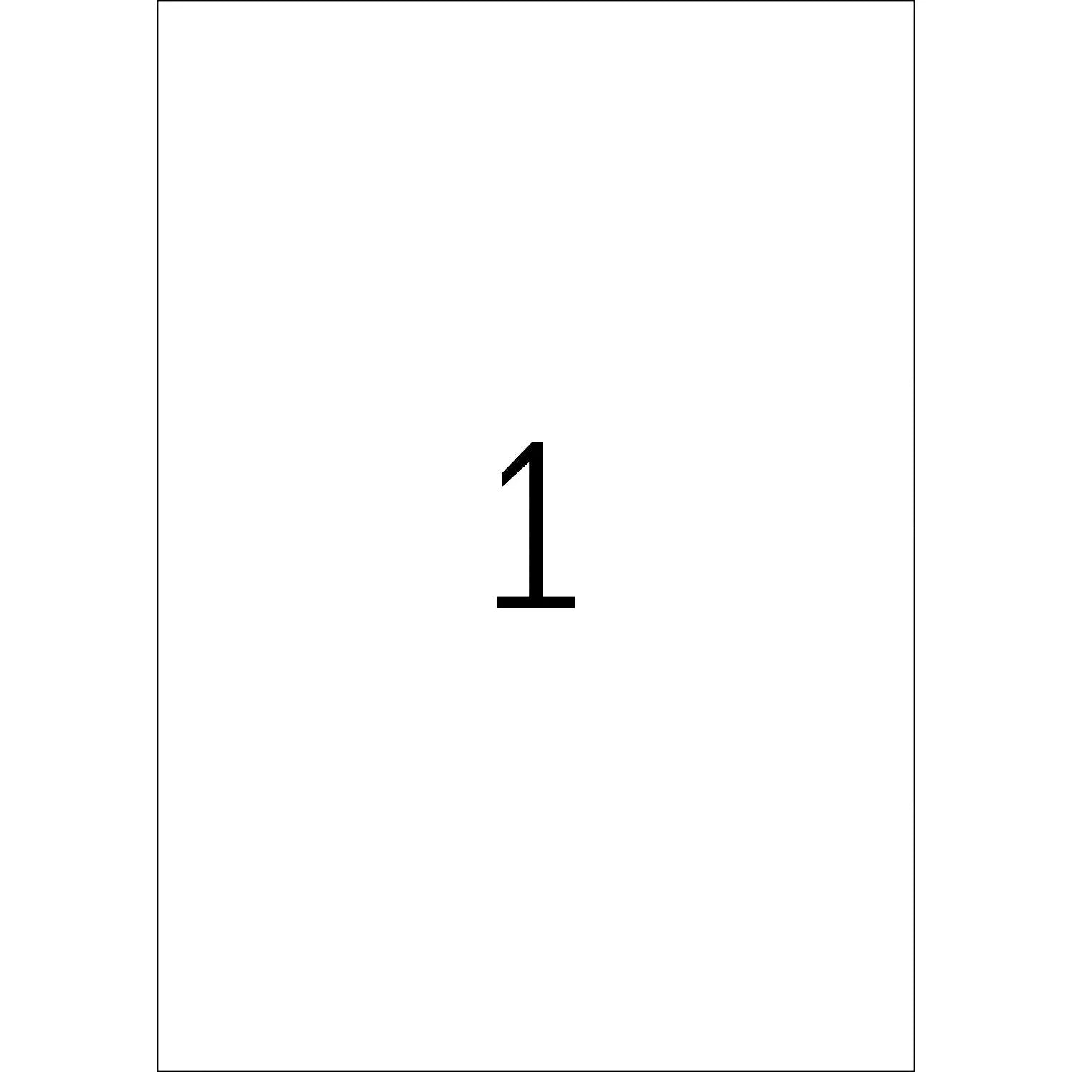 10 HERMA Typenschild-Etiketten 4593 silber