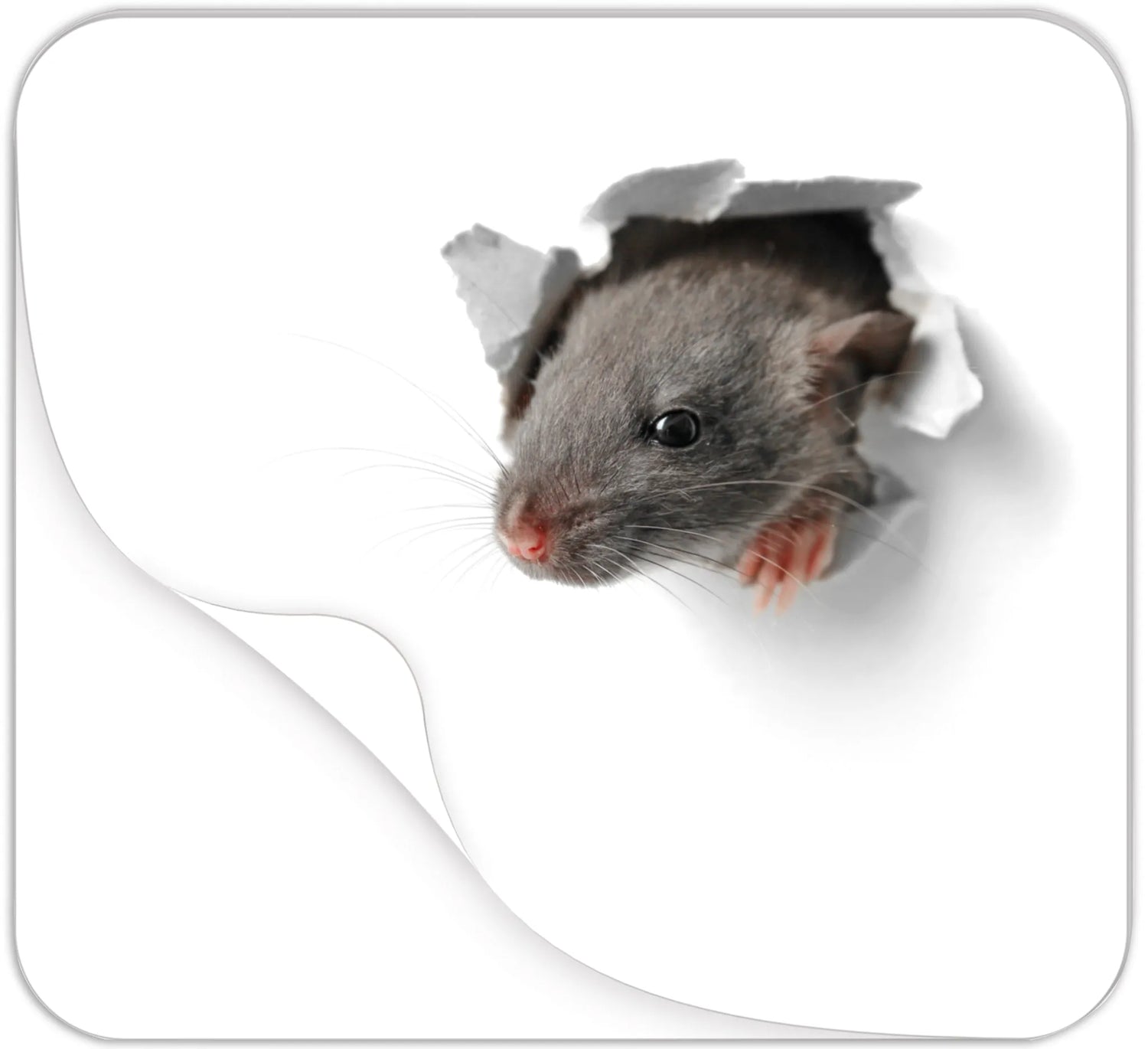 Mousepad - Block "Mausi" Maße (BxH): 240 x 220 mm, 30 Blatt