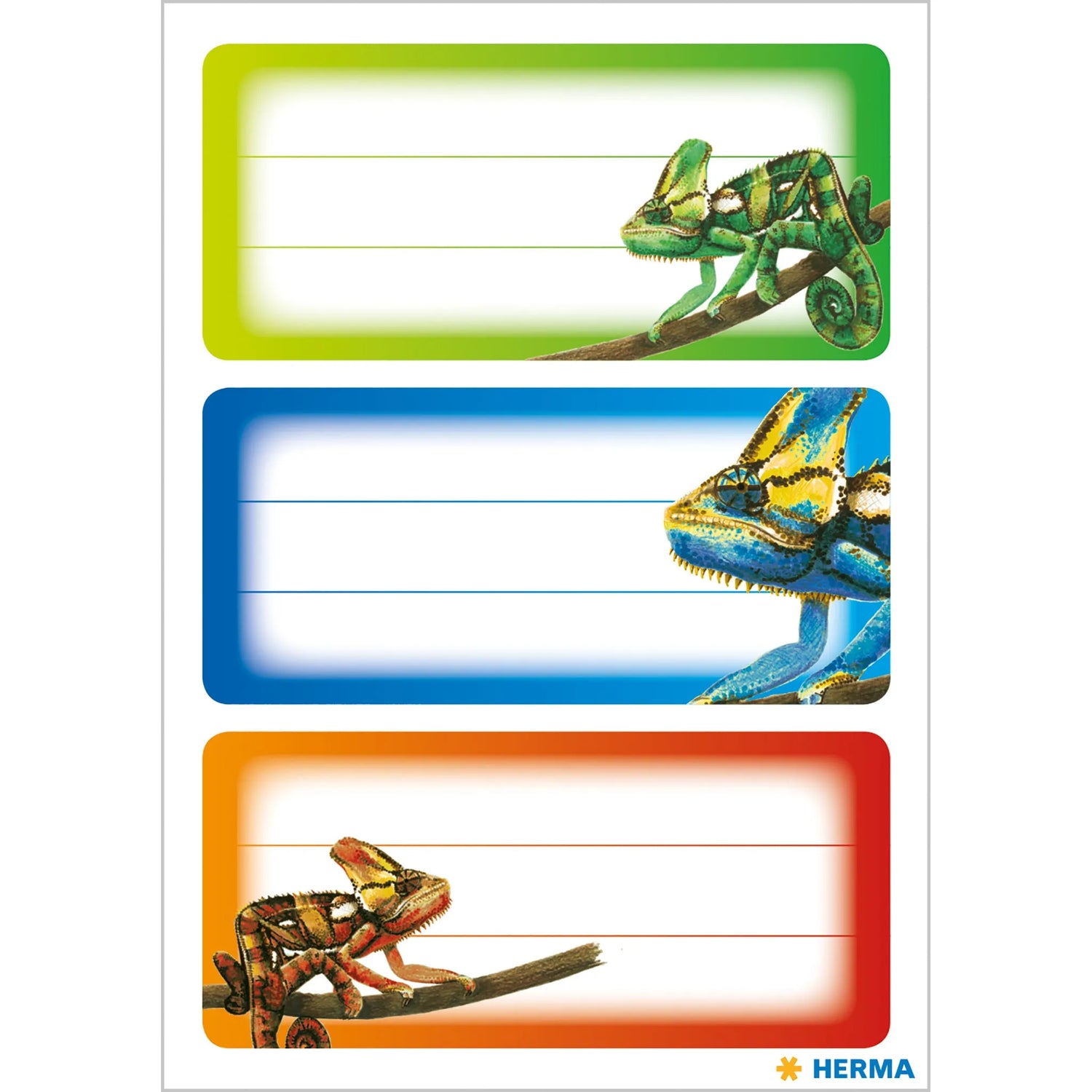 9 HERMA Schuletiketten 5876 Gecko