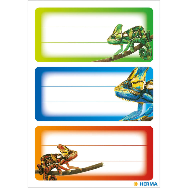 9 HERMA Schuletiketten 5876 Gecko