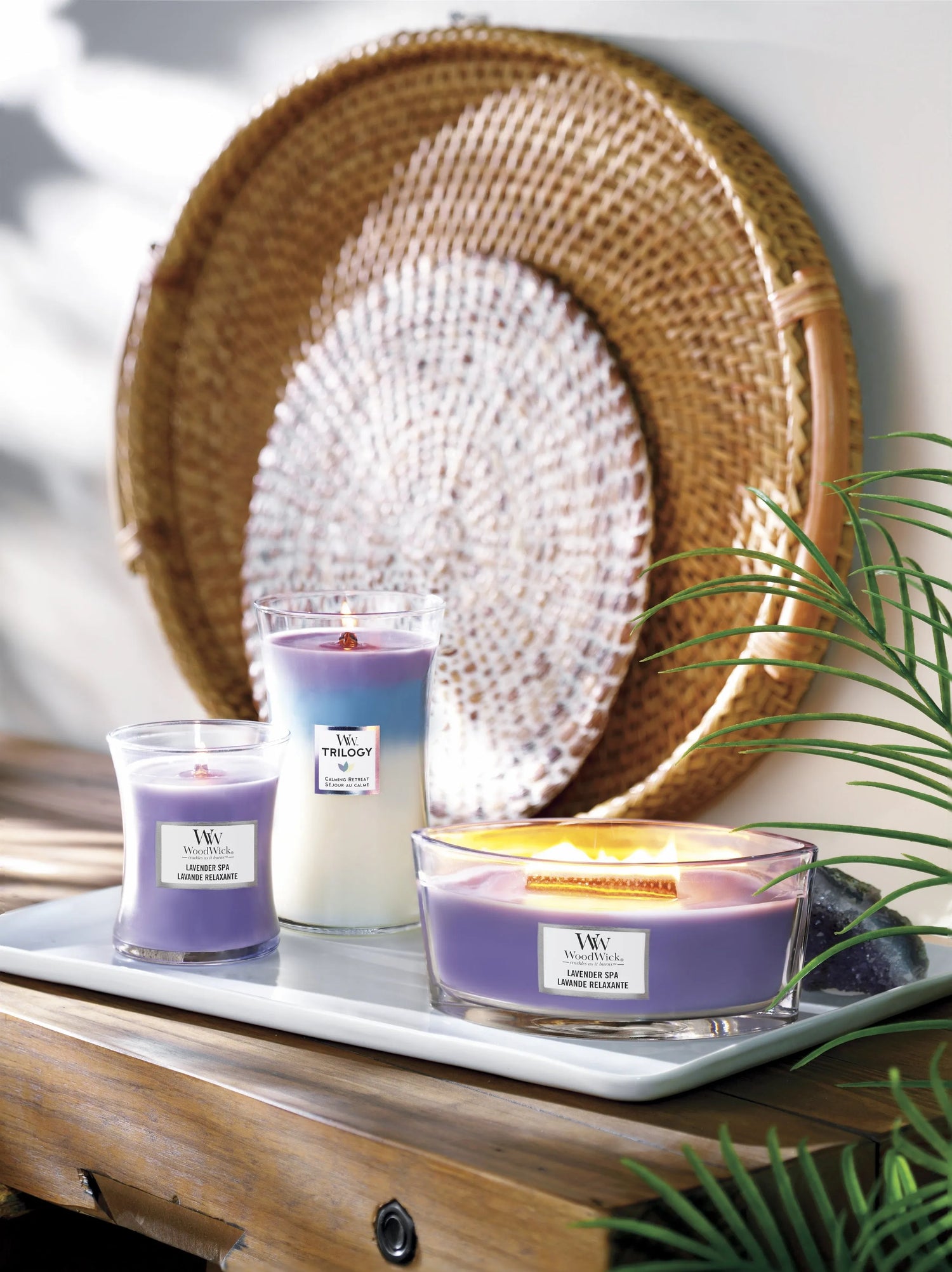 WoodWick knisternde Kerze Ellipse Lavender Spa bis zu 50 Std Brenndauer