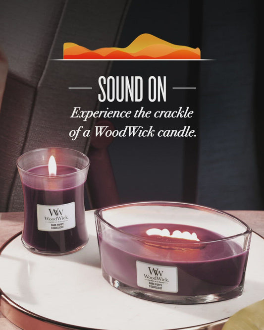 WoodWick White Teak, knisternde Kerze mini, 85g Brenndauer bis zu 20 Std