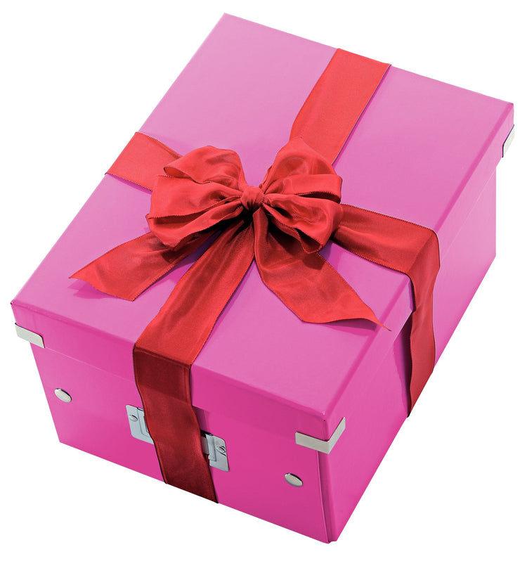 LEITZ Click & Store Aufbewahrungsbox 16,7 l pink 28,1 x 36,9 x 20,0 cm Format: DIN A4 quer
